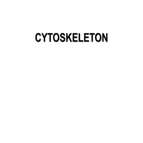 structure and functions of cytoskeletons
