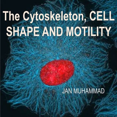 Cytoskeleton , cell shape and cell motility