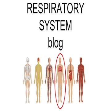 Blog respiration system