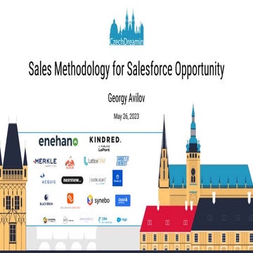 Sales methodology for Salesforce Opportunity, Georgy Avilov