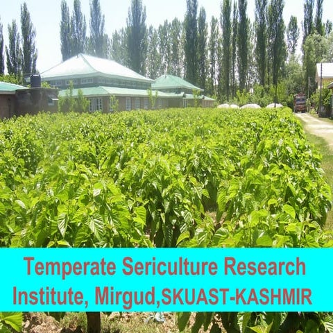 Disease Resistance in Silkworm Bombyx mori L.
