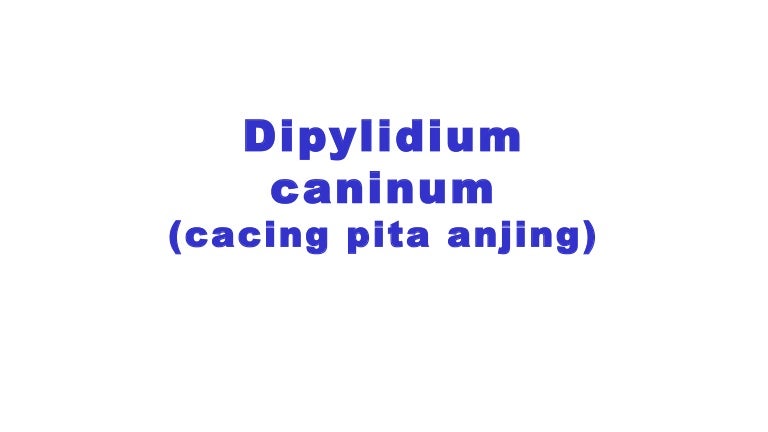 îndepărtați papiloamele cu darsonval metastatic cancer colon