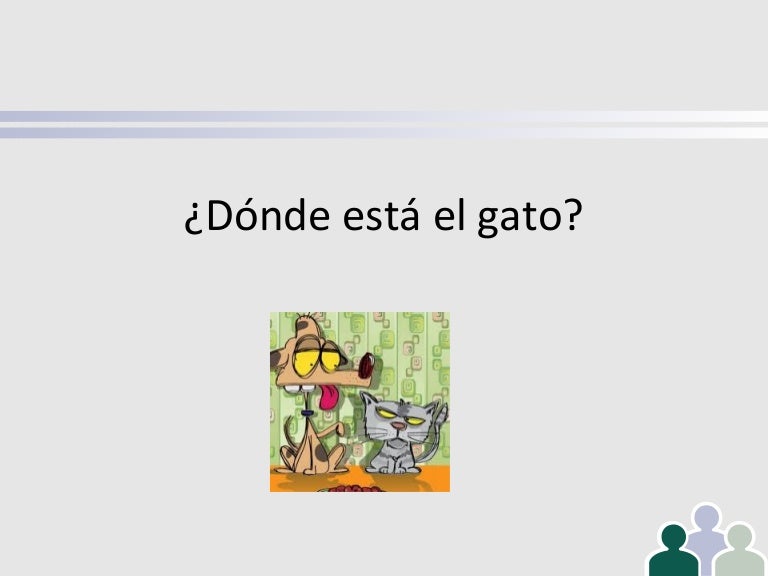 Dónde está el gato