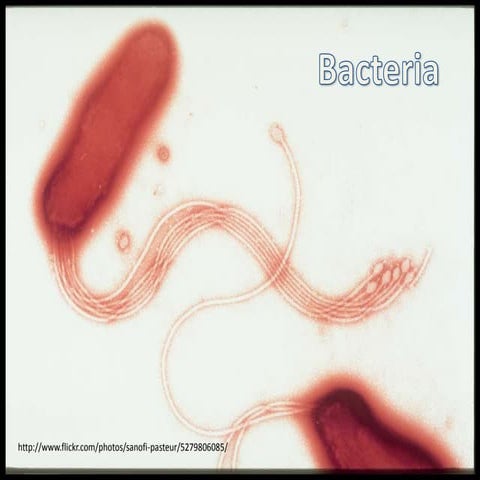 D.C Disease for Science | PPTX