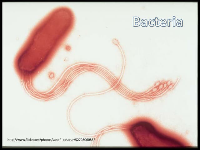 D.C Disease for Science