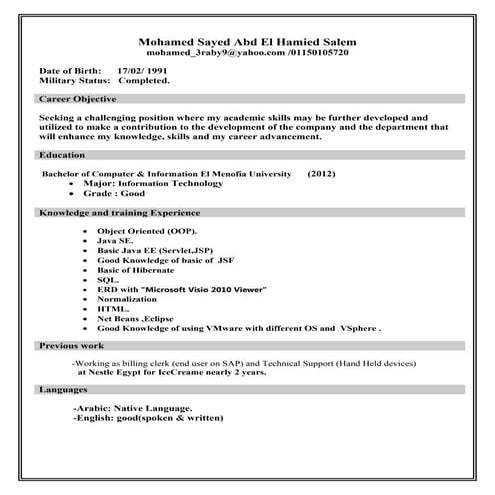 Mohamed Sayed Abd El Hamied Salem 