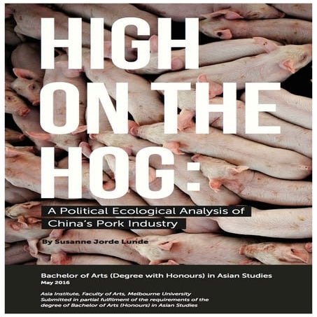 Honours Thesis for Susanne Jorde Lunde 