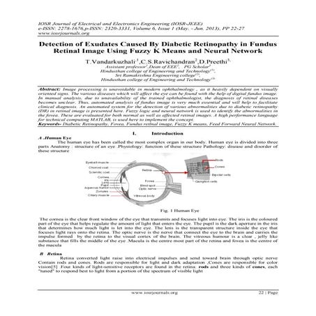 Detection of Exudates Caused By Diabetic Retinopathy in Fundus Retinal Image ...