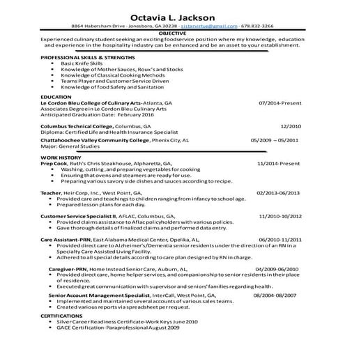 Gabrielle Giacomello Simmer_CV | PDF