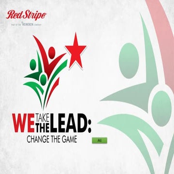 Red Stripe: We Take the Lead - Institutional Arrangements