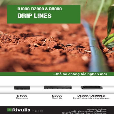 D1000 d2000 d5000 day tuoi doc luong rivulis d serries