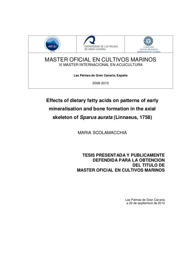 Master thesis documentclass
