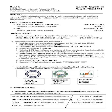 Dalton Raper Resume 2016 | DOCX