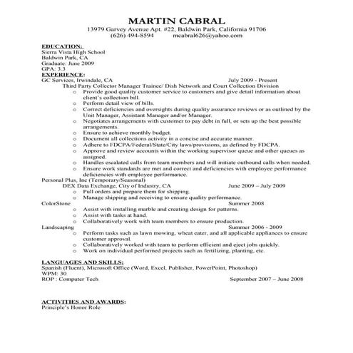 Martin's resume