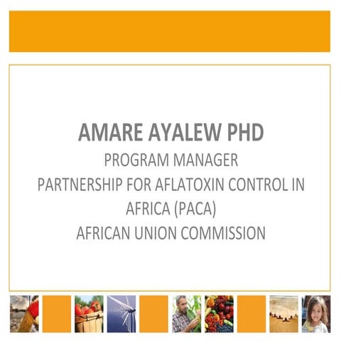 Dr Amare Ayalew, Program Manager – Partnership for Aflatoxin Control in Afric...