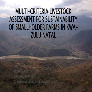 Busie Thesis Defense