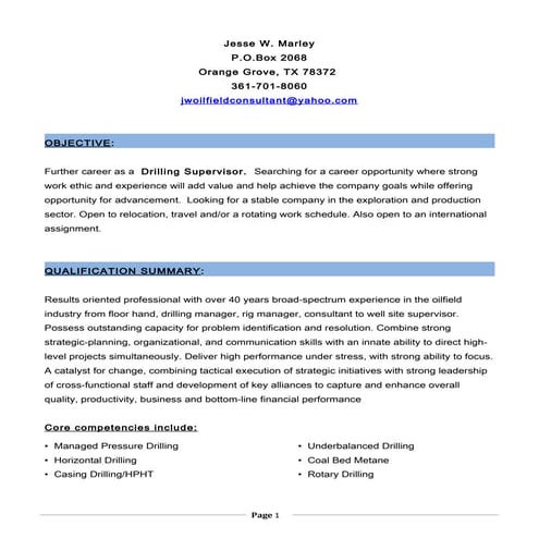 Professional EXPERIENCE