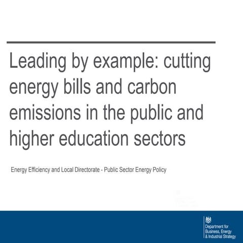 Leading by Example in the Public Sector