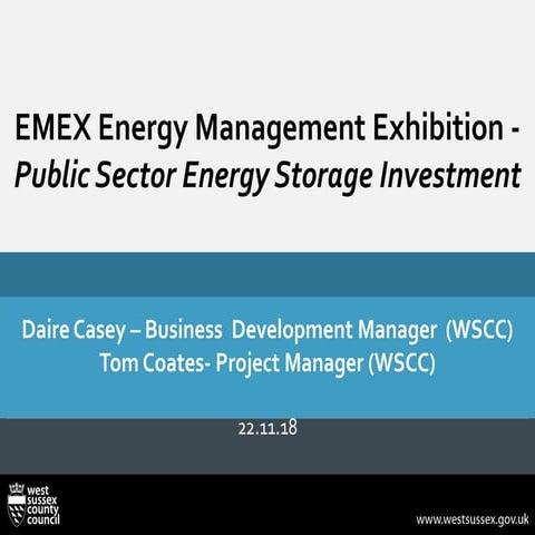 Public Sector Energy Storage Investment