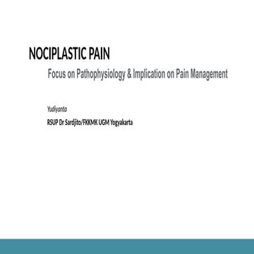 D 2026 LECTURE PATHOPHYSIOLOGI AND TREATMENT OF NOCIPLASTIC PAIN.pptx
