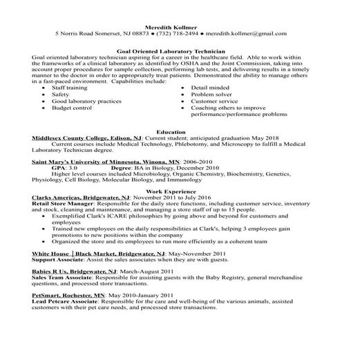 M Kollmer Resume