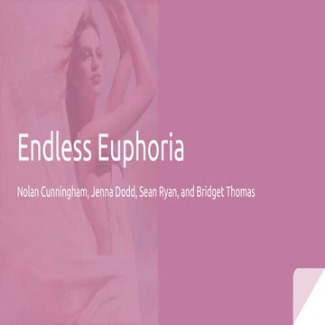 Endless Euphoria Final Presentation