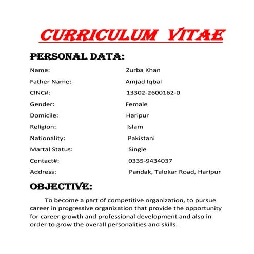 MY CV | PDF