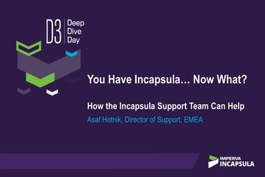 D3TLV17- You have Incapsula...now what?