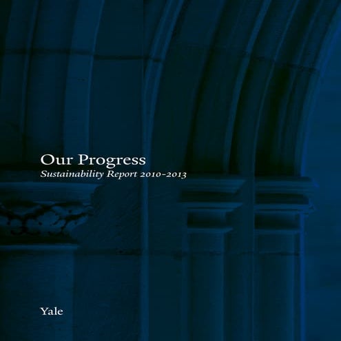 2013_YOS Strategic Sustainability Plan progress_report