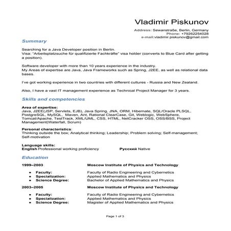 VladimirPiskunovCV.doc