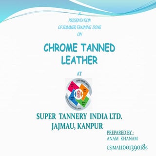 summer training ppt_2_1