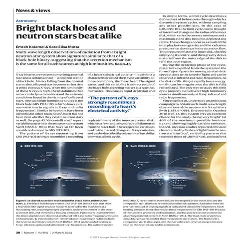 Bright black holes and neutron stars beat alike