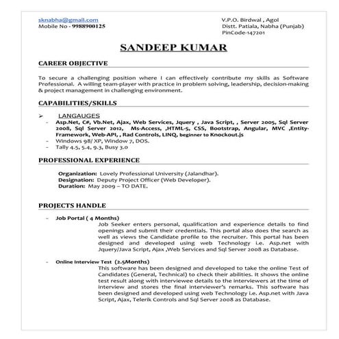 IT Professional (Sandeep)