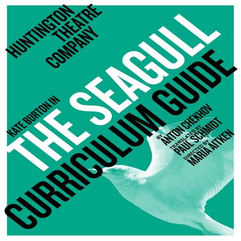 The Seagull_Curriculum Guide