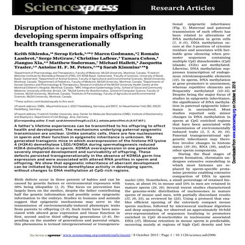 epigenetics IN MALE INFERTILITY and consequences | PPTX