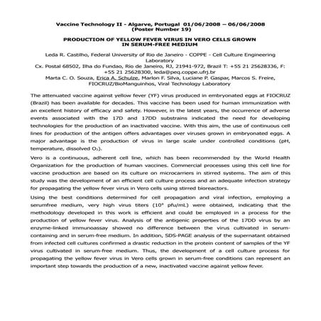 PRODUCTION OF YELLOW FEVER VIRUS IN VERO CELLS GROWN  IN SERUM-FREE MEDIUM 