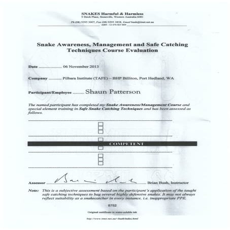 RMIT CERT IV Transcript 2 | PDF
