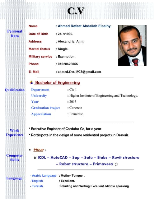 surveying engineer | PDF