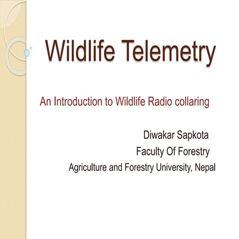 Wildlife Radio Collaring | PPTX