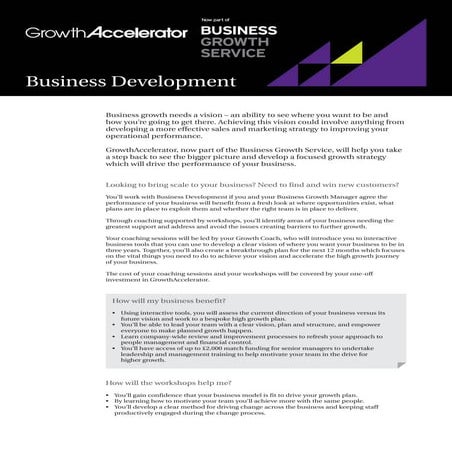 Business Development flyer