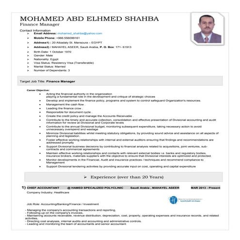 Finance Manager CV 2015