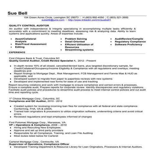 Auditor Resume