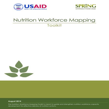 spring_nutrition_workforce_mapping_toolkit