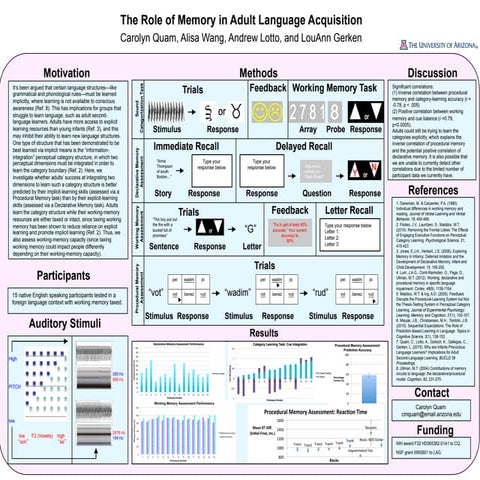 The Role of Working Memory in Number Transcoding | PDF