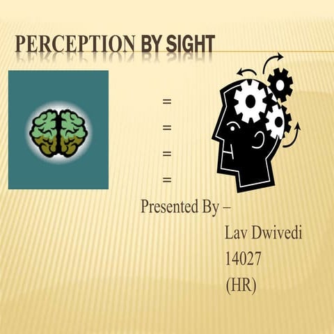 Lav PPT Perception by sight
