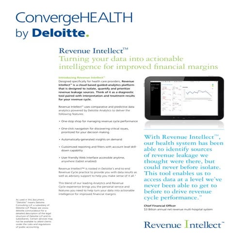 Revenue Intellect Datasheet | PDF