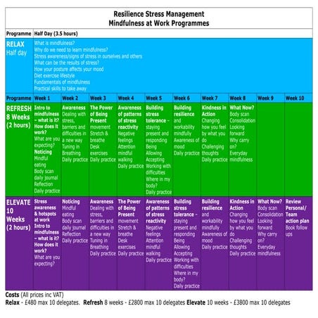 RSM mindfulness resilience and preventing stress programmes