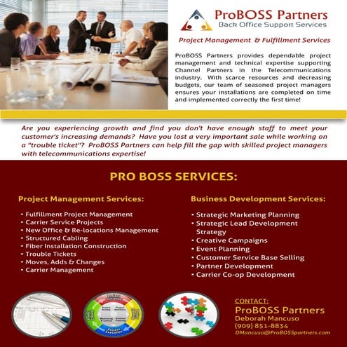 ProBOSS flyer | PDF