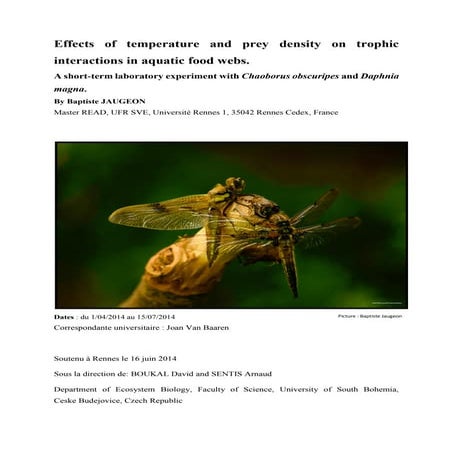 View of Effects of temperature and prey density on trophic interaction in ...