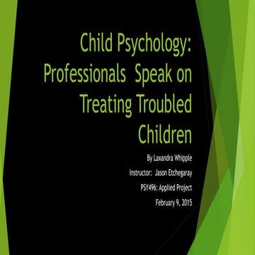 Professionals Speak on Treating Foster Children (1)